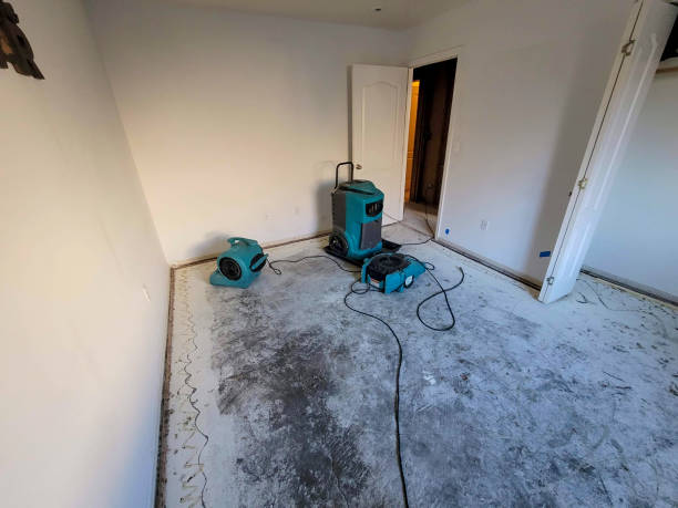 Best Residential water damage restoration  in Hurley, MS