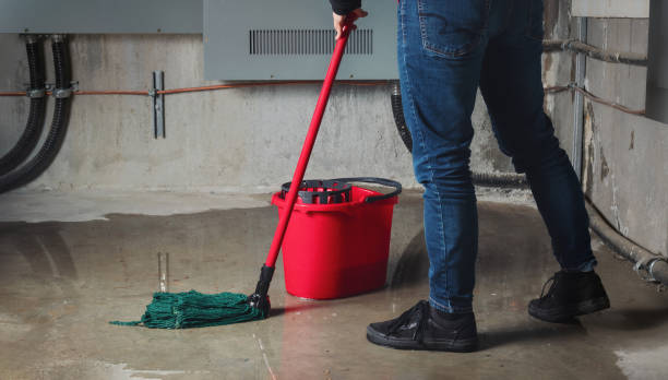 Best Mold removal after water damage  in Hurley, MS
