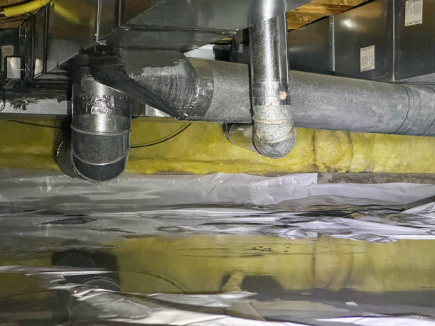 Best Flooded house restoration  in Hurley, MS