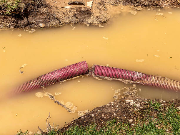 Local water damage restoration in Hurley, MS