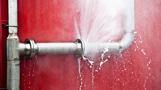 Best Carpet water damage restoration  in Hurley, MS