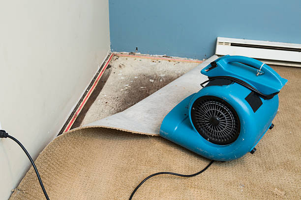 Water damage restoration process in Hurley, MS